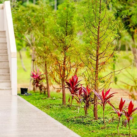 Dream Field Apartment หลูยี่ ภายนอก รูปภาพ